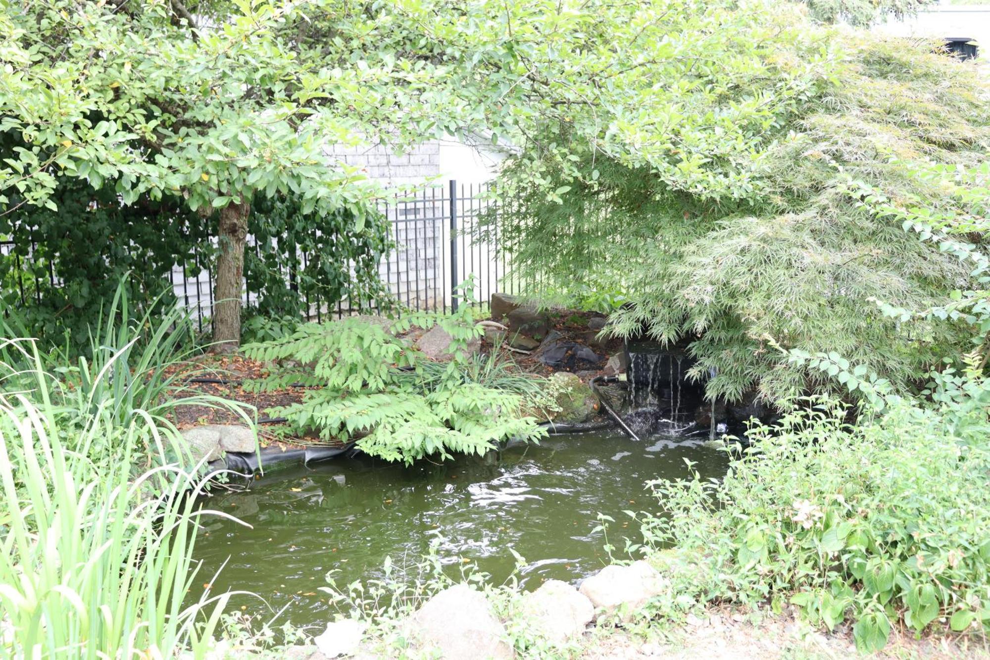 Vaast Bed & Breakfast Adamstown Esterno foto